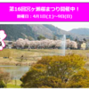 第16回宮ケ瀬桜まつり開催中！(2023/4/4)