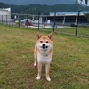 長い夜