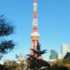 朝の東京タワー