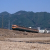 飯田線80系普通電車7とクモニ83103