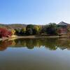東大寺 大仏池 2　紅葉する大仏池　銀杏の樹は半分程に減ったが、池の傷みは修復されて居た。　　（9景）
