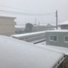 山陰の雪は珍しく軽い