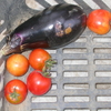 ミニトマト・茄子収穫