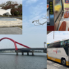 【2025年4月最新】高雄からバスで１時間、「東港（ドンガン）」はおススメの観光スポット！