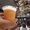 T.Y.HARBOR - Modern Session IPA