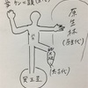 地質時代区分11        顕生代の図