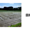2025年　田植終了