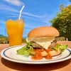 安蔵森林公園　まゆみカフェ＆まゆみＢＡＲ　採算を度外視した価格設定で、皆様のご来園をお待ちいたしております！真夏の夜のミニ音楽会開催中！AZOサバゲ―フィールド　定例会　参加者募集中！