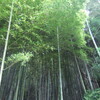 ご冗談を／呼吸・30