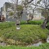 十三参りのご案内
