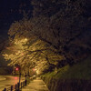 桜の夜のインクライン