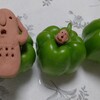 コミュ障の子から☝️
