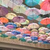 義母の絵画教室の日