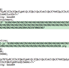 ThunderbirdとApple Mail間の添付ファイル名の文字化け