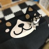 【品番】柴犬グッズ しまむら 2019 ルームマット しば丸！