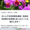 うちらは、、、、おひらぃーぃずっ！