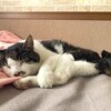 朝ドラ終わっちゃった