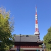 増上寺と惣門と東京タワー
