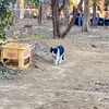 退院