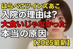 はらぺこツインズあこ入院の理由は？大食いじゃなかった本当の原因【2025最新】