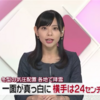 秋田県は今季終了かな？