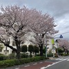 恋ヶ窪東遺跡  国分寺市東恋ヶ窪