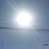 晴れ☀　散歩方々駅前まで！