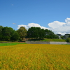 石狩当別の観光地づくりも秋になり････。