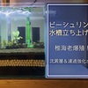 ビーシュリンプ水槽立ち上げ！『稚海老爆殖！沈澱層＆濾過強化水槽』