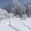 2018年1月6日-7日兵庫県氷ノ山（須賀ノ山）
