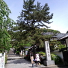 奈良南部をがっつりと