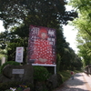  草間彌生 永遠の永遠の永遠 ＠埼玉県立近代美術館 に行ってきた