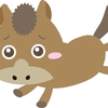【追い切り注目馬】【青函S】【長万部特別】他　2025/6/28(土) 函館競馬　中1週ならこれでOK