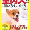 座敷犬、主人に吠える