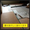 オオスズメバチ駆除案件 vol.2