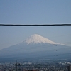 お散歩日和
