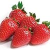 甘いイチゴを栽培したいなら、甘い品種の苗をさがそう🍓