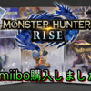 「MONSTER HUNTER RISE」購入‼ついでにamiiboも揃えちゃいました！　