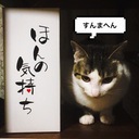 にゃんごとなきひまつぶし