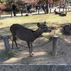 「旧奈良監獄」紅葉の談山神社・奈良公園