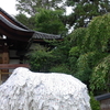 【神社】R2.7/25＿安井金比羅宮、八坂神社