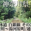 【動画】神奈川県 林道 白銀線 その2 (小田原根府川〜湯河原町/通行止め)