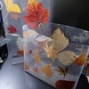 紅葉と葉脈標本のクリアファイル