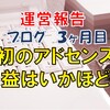 初のアドセンス収益はいかほど？【ブログ運営報告】～３ヶ月目～　２０１９年６月　　