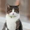 江ノ島で釣り
