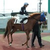 完敗の１０着
