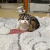 ホントに運が悪かったら、まだ帰ってこれていないかもしれません😅