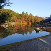 京都紅葉　天龍寺と宝厳院