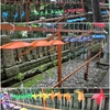 風と遊ぶ　〜　仁井田神社　〜