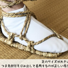 2059　靴がめんどくさい日に思い出すワラジの魅力